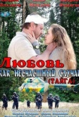 Любовь как несчастный случай (2012)
